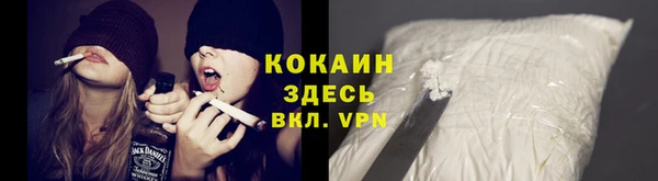 spice Арсеньев
